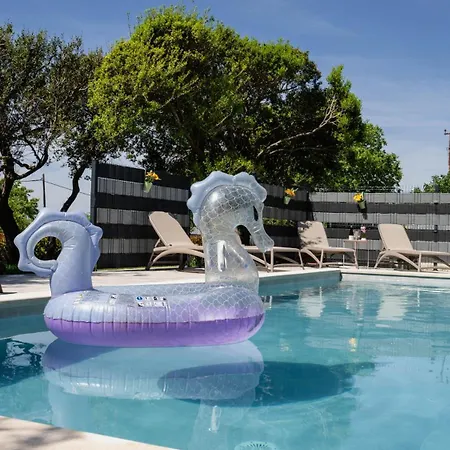 Krstina Villa Vrana (Zadar)