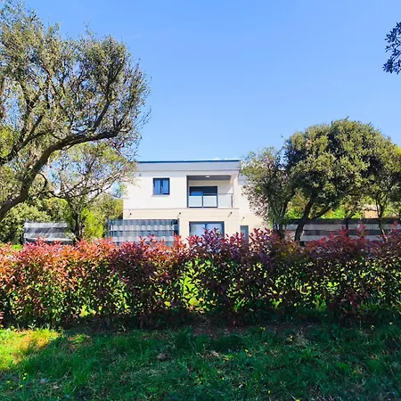 Krstina * Vrana (Zadar)